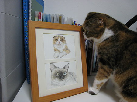 モモと絵