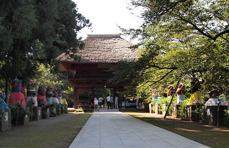 タヌキのハワイアンフェスタ