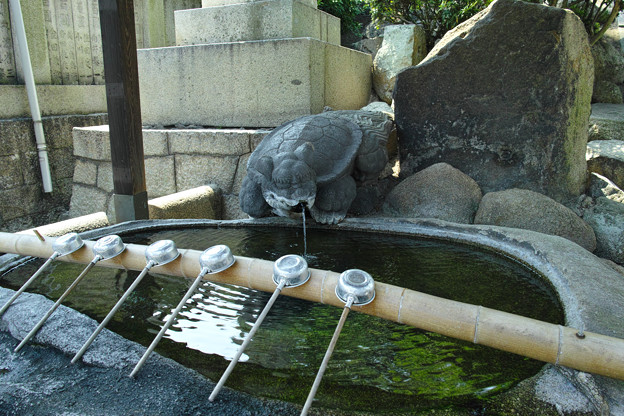 Photos: 亀さんの手水舎
