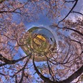 田貫湖　桜 Little Planet