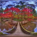 森町　小国神社 紅葉 360度パノラマ写真(1)