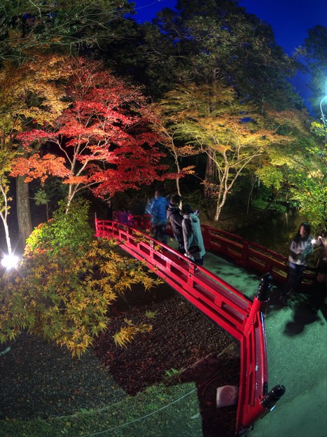 森町 小国神社 紅葉 赤橋付近 ライトアップ 1 写真共有サイト フォト蔵