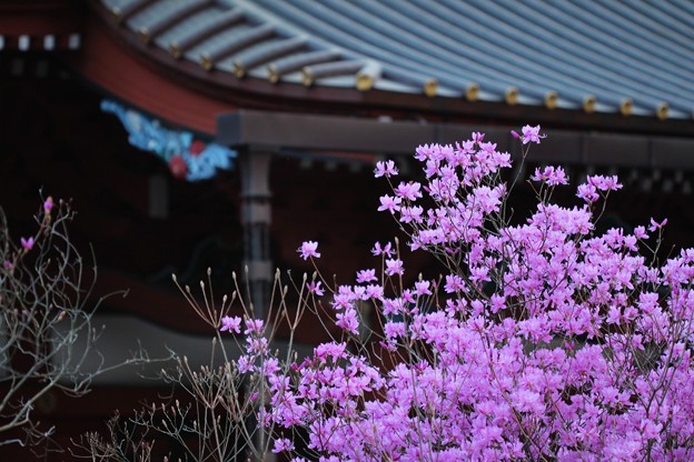 大石寺