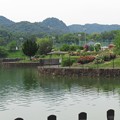 水辺のバラ園