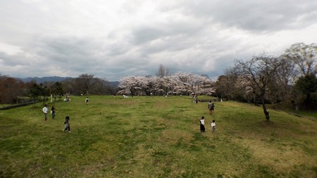 IMG_20170409_133202