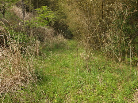 P4250066