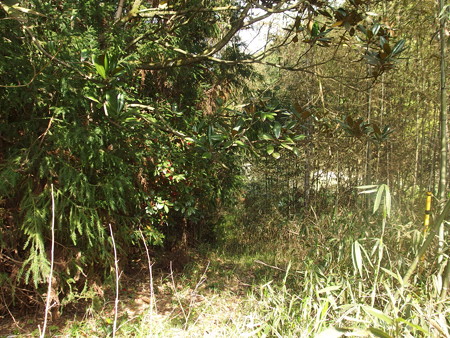 P4250105