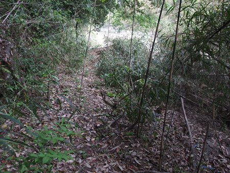 P4250072