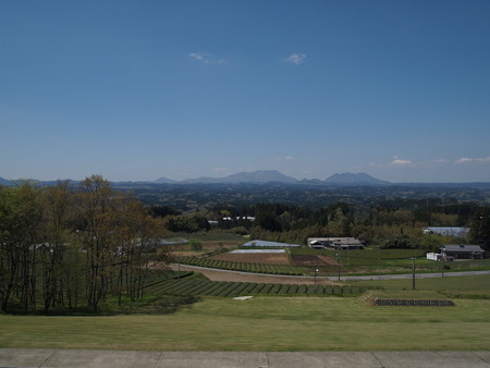 P4280085