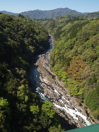 P4280096