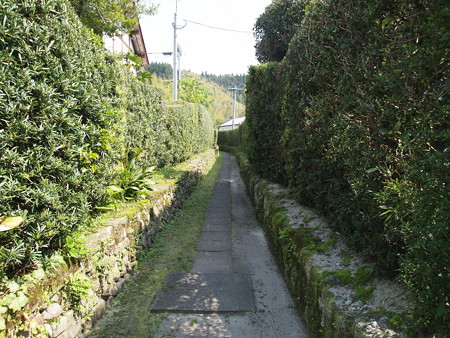 P4290174
