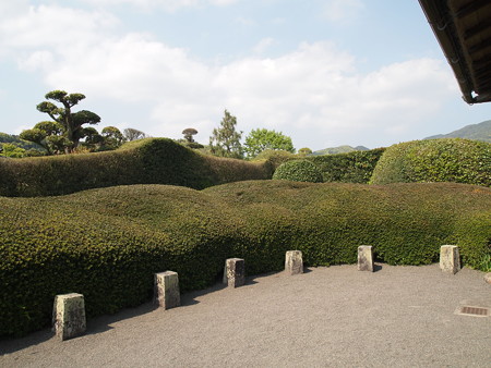 P4290207