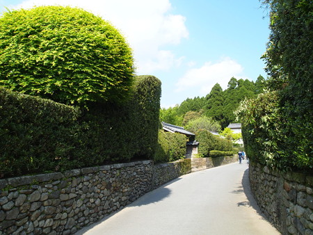 P4290280
