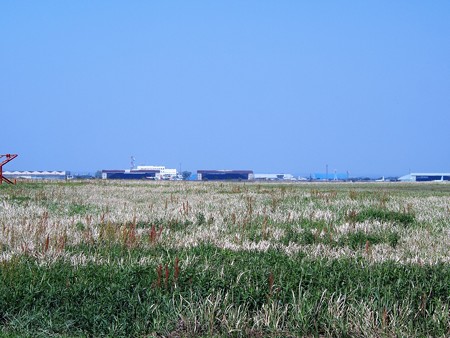 P4304528