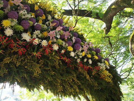 P4300491