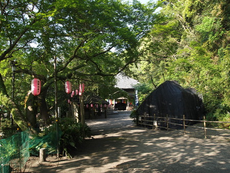 P4300495