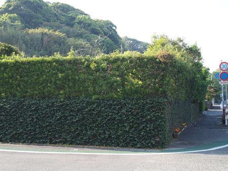 P4300538