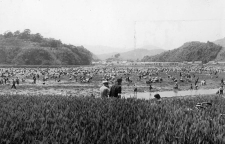 櫛津貝掘り 1961