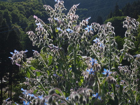 P5191039