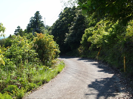 P5271161