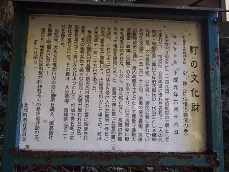 P5271165