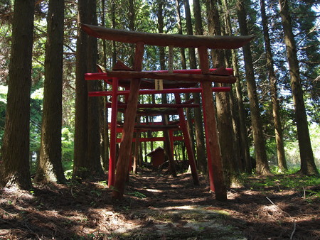 P5281234