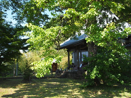 P5281253