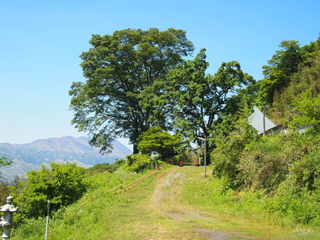 P5281257