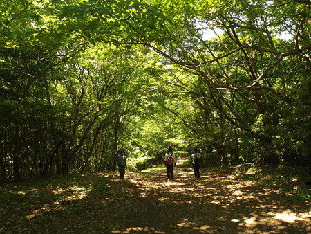 P6041487