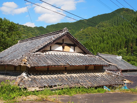 P6081716