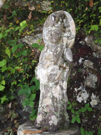 P6141930