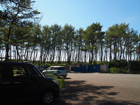 P7162207