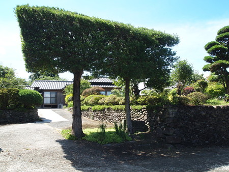 P7172456