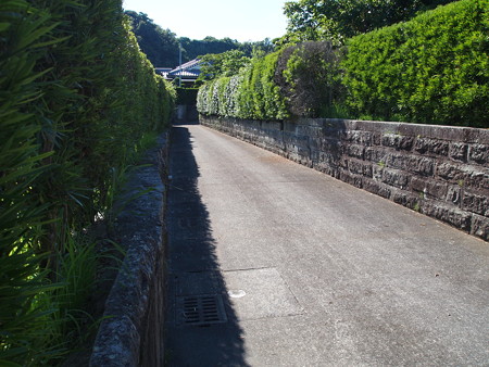 P7162216