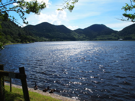 P7172492