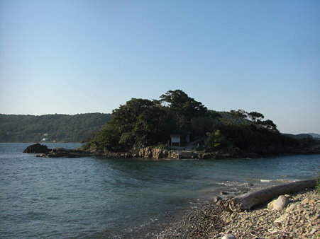 細島 震洋 (1)