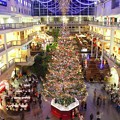 Photos: big Christmas tree 3