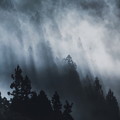 朝霧舞う