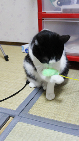 きよう