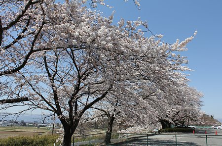 Img_0608
