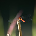 E57W8106