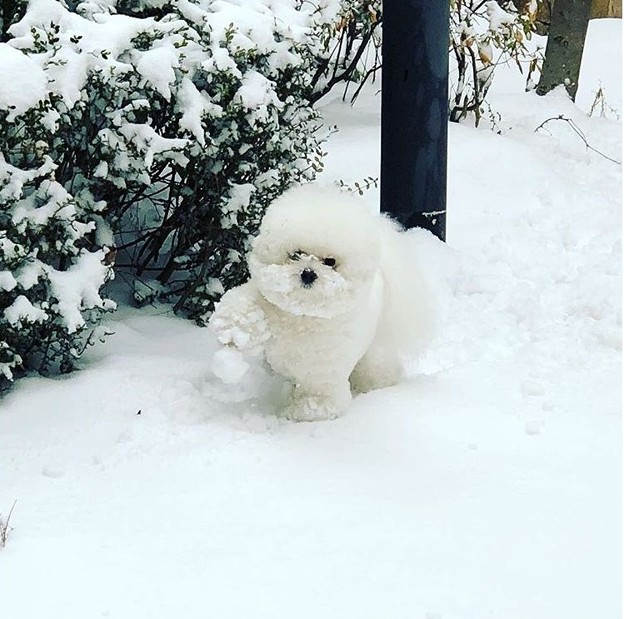 パクソジュンのインスタ 写真共有サイト フォト蔵