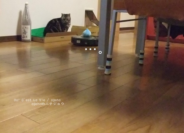 猫とルンバとスライムと５