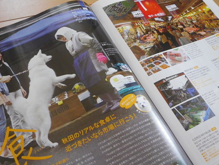 朝市で買い物 秋田犬