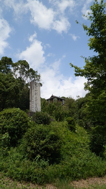 P8137691