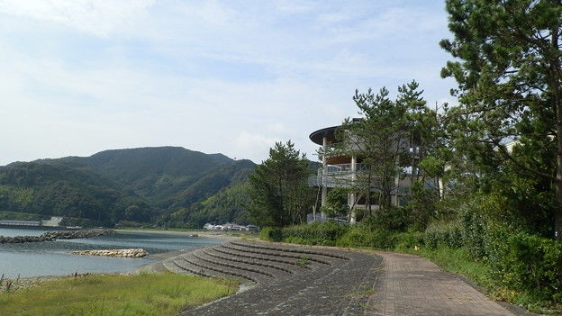 P8147764
