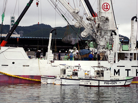 IMGP8007