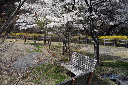 DSC03370