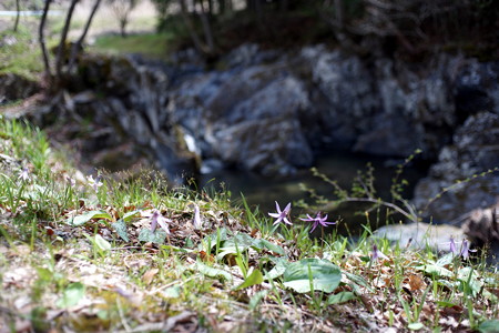 DSC03375copy