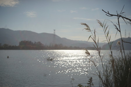 DSC04058